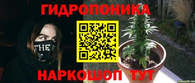 молекула духа Обь