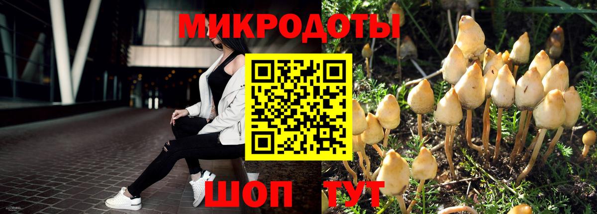Галлюциногенные грибы Psilocybine cubensis  Вход с VPN  Заинск  Галлюциногенные грибы прущие грибы 